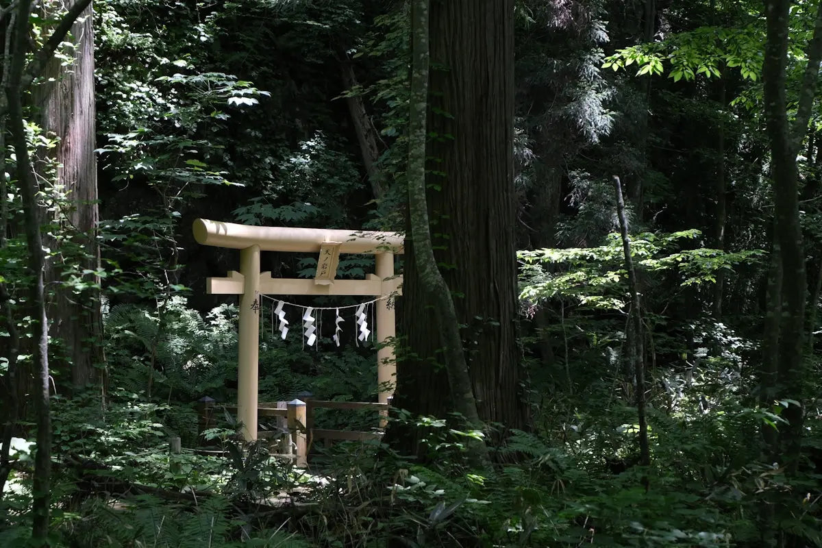 Unlock-Serenity-with-Enoki-Forest-Room-Body-Aroma-Mist-A-Versatile-Wellness-Essential HAUS OF SMELL