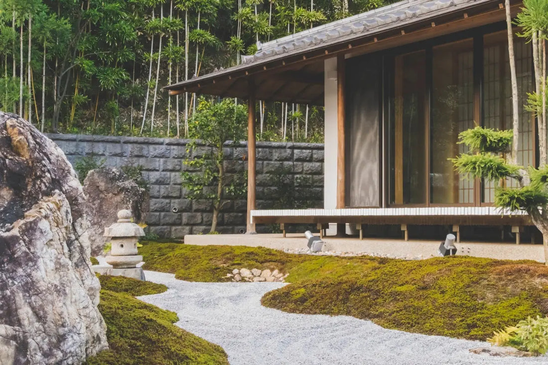 Immerse-Your-Home-in-Tranquility-with-Enoki-Forest-Natural-Aroma-Diffuser HAUS OF SMELL