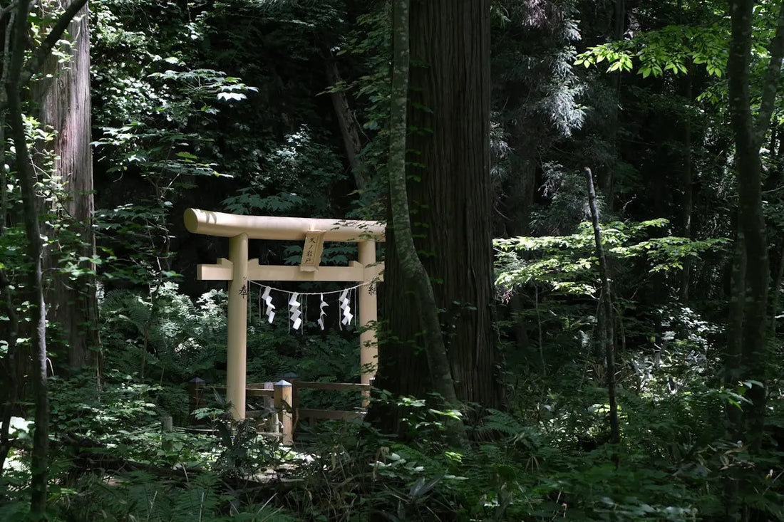 Unlock-Serenity-with-Enoki-Forest-Room-Body-Aroma-Mist-A-Versatile-Wellness-Essential HAUS OF SMELL