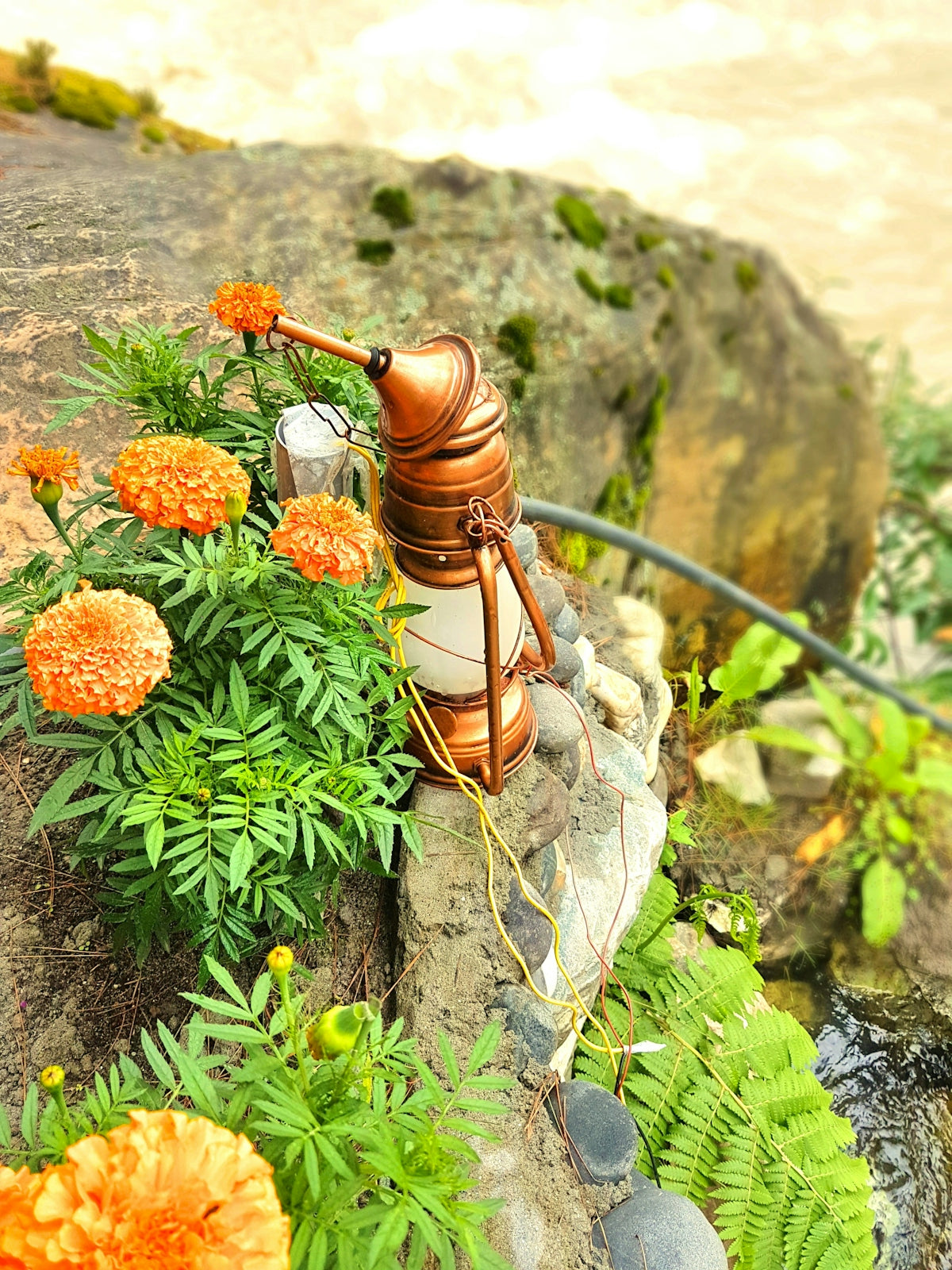 gold kerosene lamp beside flowers