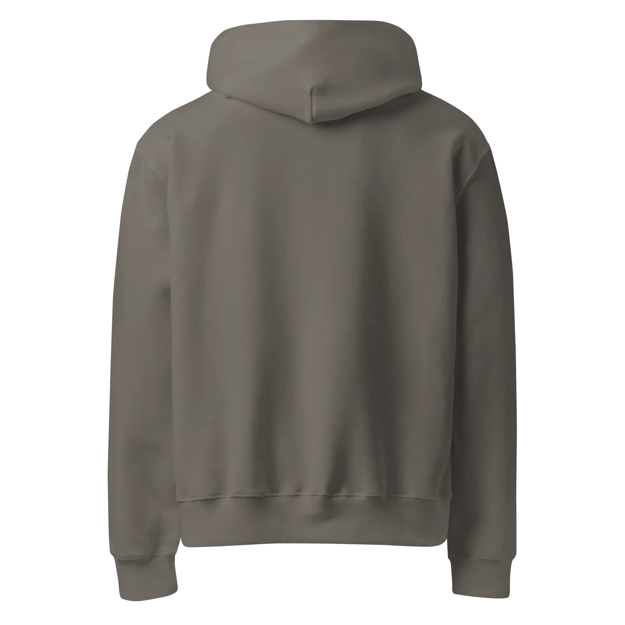 Oversized heavyweight hoodie HAUS OF SMELL