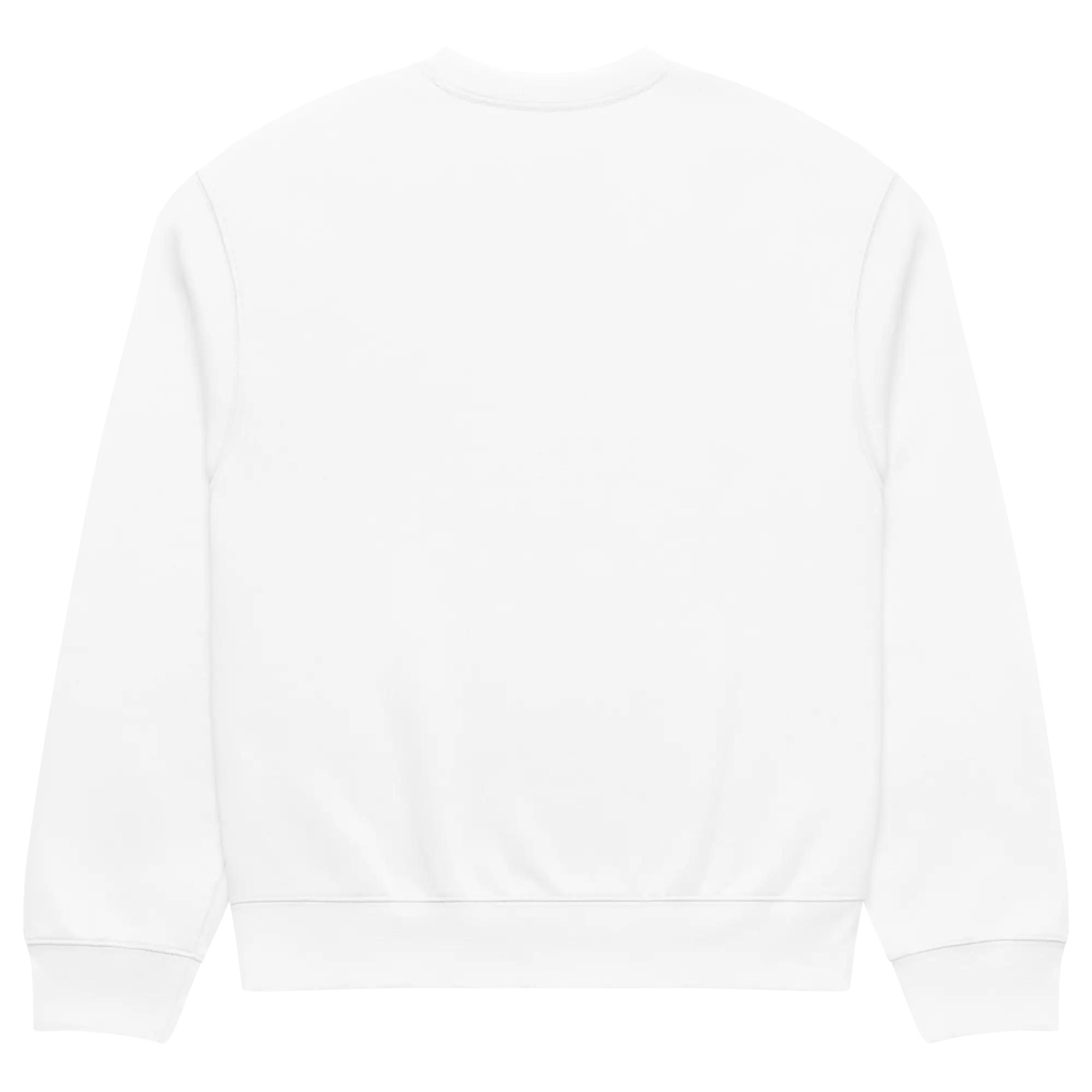 Oversized heavyweight sweatshirt HAUS OF SMELL